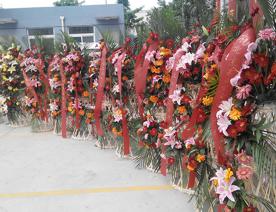 麥樂寶展銷會(huì)鮮花